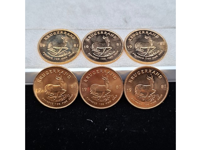 6x gouden munt, south africa, krugerrand, 1981 - afbeelding 1 van  7