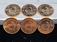6x gouden munt, south africa, krugerrand, 1981