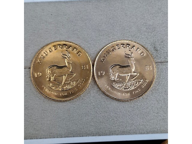 6x gouden munt, south africa, krugerrand, 1981 - afbeelding 2 van  7