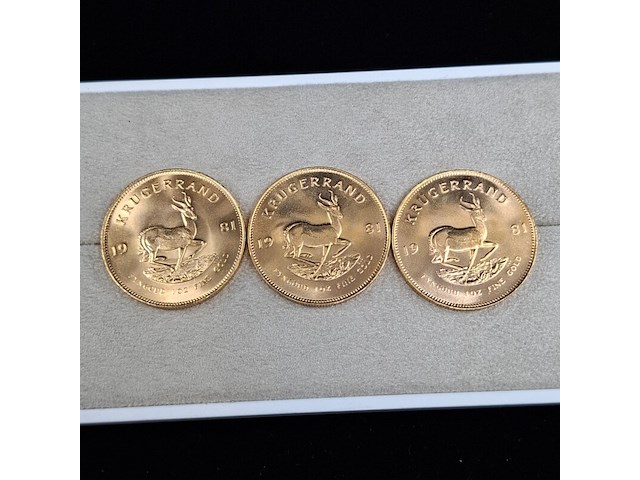 6x gouden munt, south africa, krugerrand, 1981 - afbeelding 4 van  7