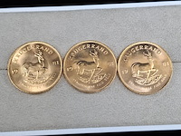 6x gouden munt, south africa, krugerrand, 1981 - afbeelding 4 van  7