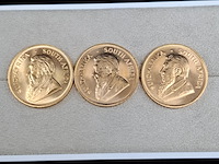 6x gouden munt, south africa, krugerrand, 1981 - afbeelding 5 van  7