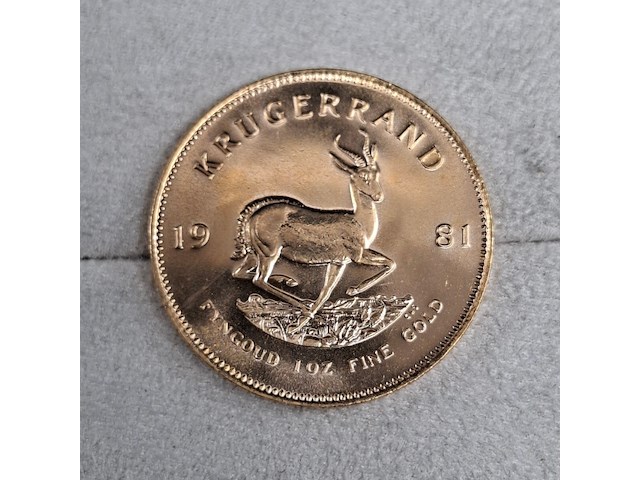 6x gouden munt, south africa, krugerrand, 1981 - afbeelding 6 van  7