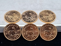 6x gouden munt, south africa, krugerrand, 1982 - afbeelding 1 van  7