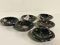 6x orthoceras schalen