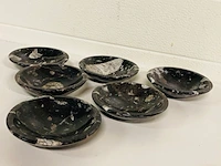 6x orthoceras schalen - afbeelding 2 van  5