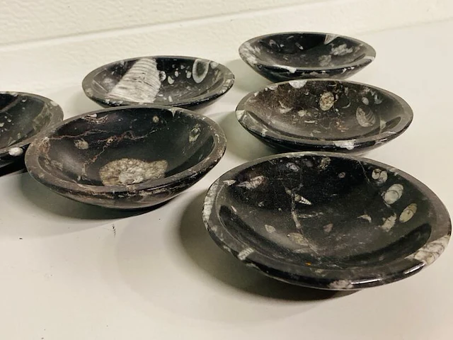 6x orthoceras schalen - afbeelding 4 van  5
