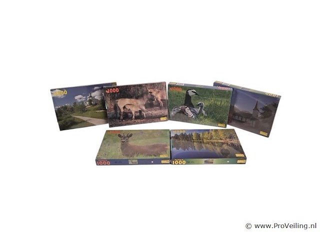 6x puzzel 1000 stuks - afbeelding 1 van  1