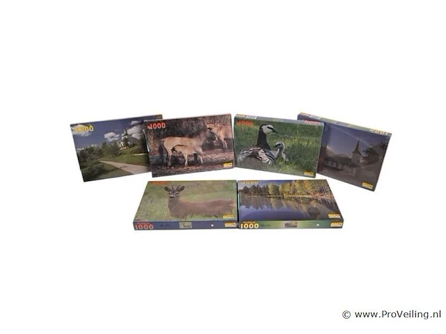 6x puzzel 1000 stuks - afbeelding 1 van  1
