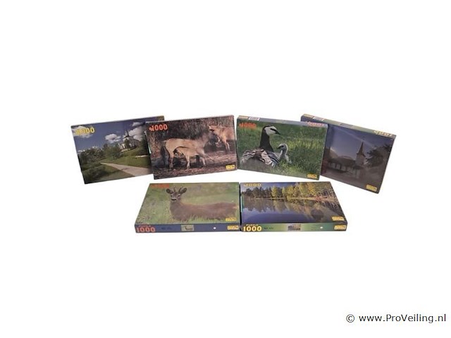 6x puzzel - afbeelding 1 van  1