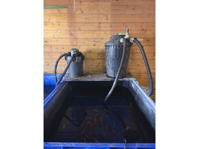 6x quarantainebak met toebehoren - afbeelding 3 van  24