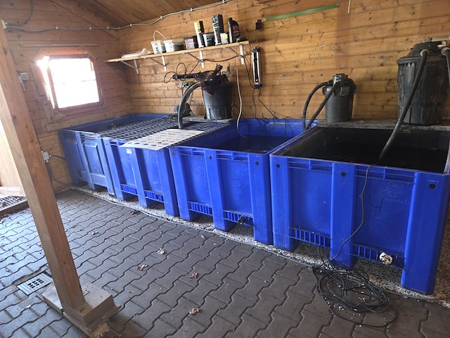 6x quarantainebak met toebehoren - afbeelding 1 van  24