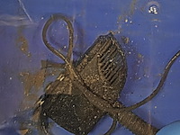 6x quarantainebak met toebehoren - afbeelding 13 van  24