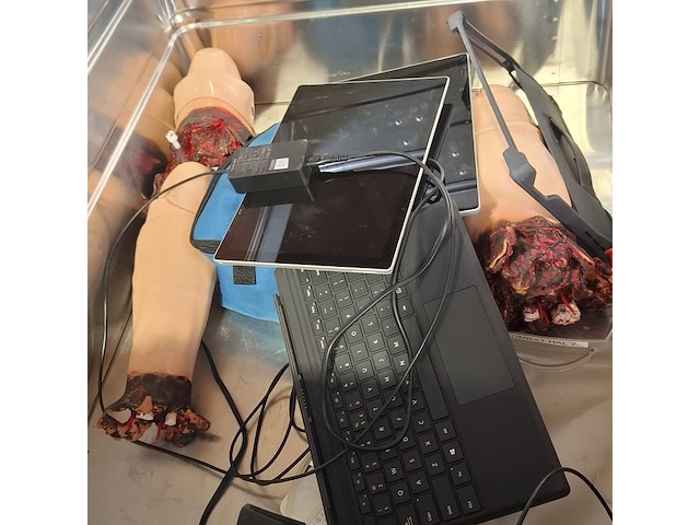 6x skeletmodel op standaard - afbeelding 4 van  15