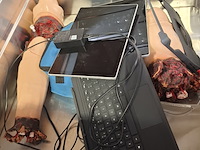 6x skeletmodel op standaard - afbeelding 4 van  15