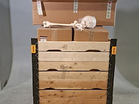 6x skeletmodel op standaard