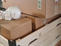 6x skeletmodel op standaard - afbeelding 12 van  15