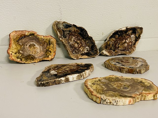 6x versteend hout plakken - afbeelding 1 van  4