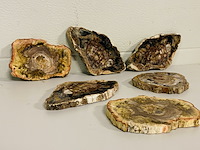 6x versteend hout plakken - afbeelding 1 van  4