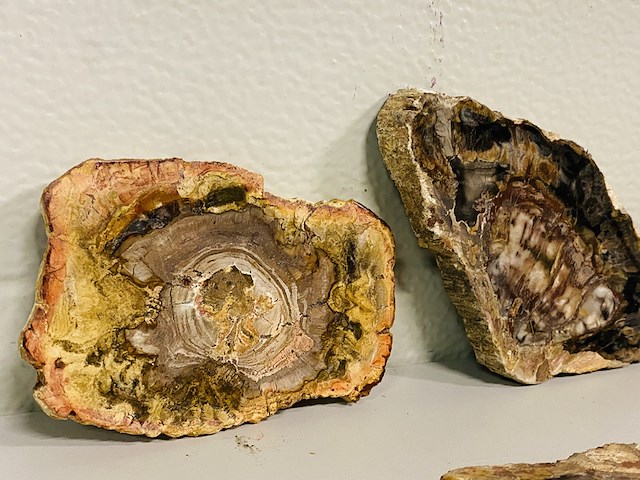 6x versteend hout plakken - afbeelding 3 van  4