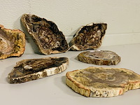 6x versteend hout plakken - afbeelding 4 van  4