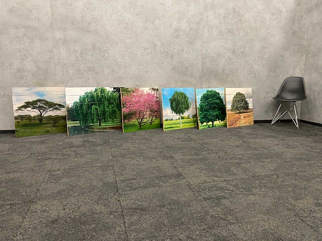 6x wanddecoratie - boom afgedrukt op hout - afbeelding 2 van  10