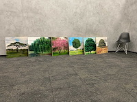 6x wanddecoratie - boom afgedrukt op hout - afbeelding 2 van  10