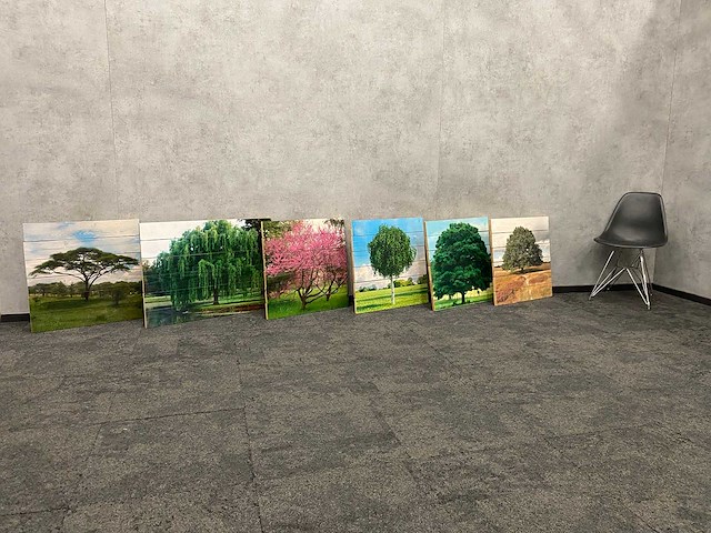 6x wanddecoratie - boom afgedrukt op hout - afbeelding 1 van  10