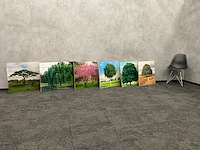 6x wanddecoratie - boom afgedrukt op hout - afbeelding 1 van  10