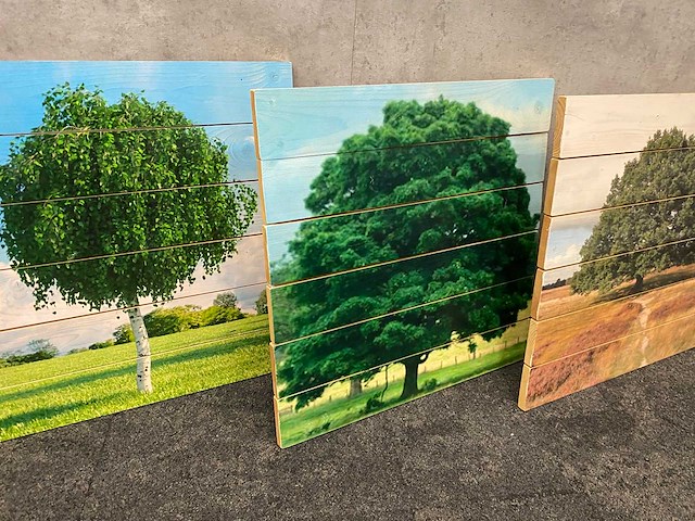 6x wanddecoratie - boom afgedrukt op hout - afbeelding 7 van  10