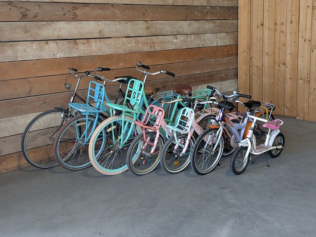 7x dames, kinder - en loopfiets - afbeelding 12 van  27