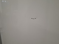 8 laden vriezer, liebherr, gnp3376 | nofrost | a++, wit - afbeelding 8 van  9