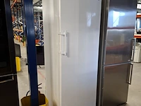 8 laden vriezer no frost a++, liebherr, gsn40a31