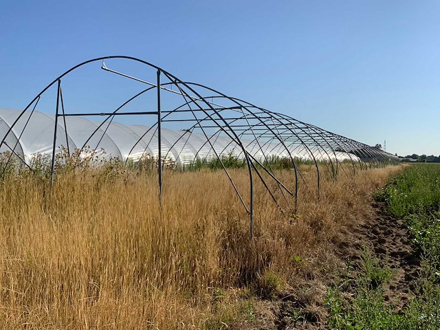 80m1 modulaire kweektent frame - afbeelding 8 van  15