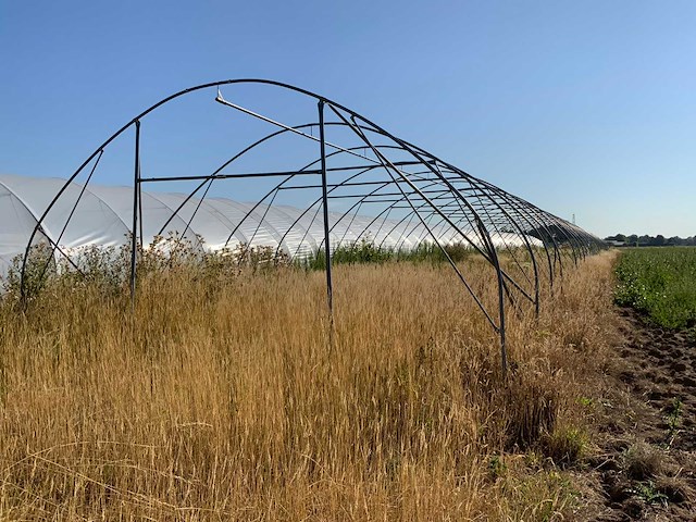 80m1 modulaire kweektent frame - afbeelding 9 van  15
