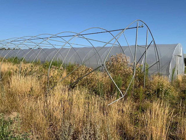 80m1 modulaire kweektent frame - afbeelding 12 van  15