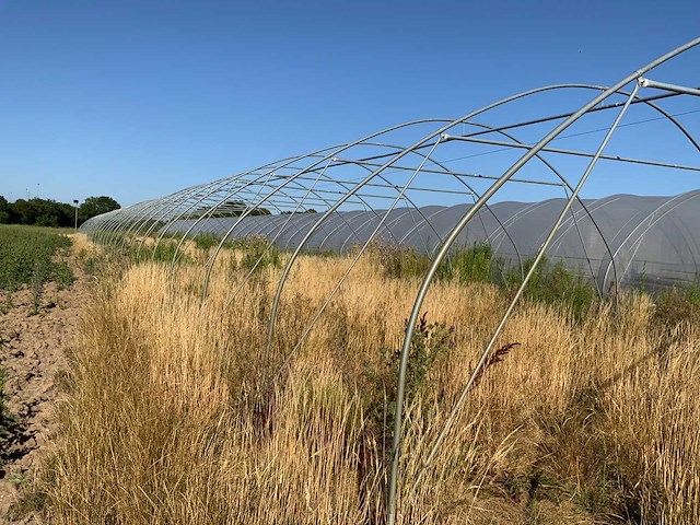 80m1 modulaire kweektent frame - afbeelding 14 van  15
