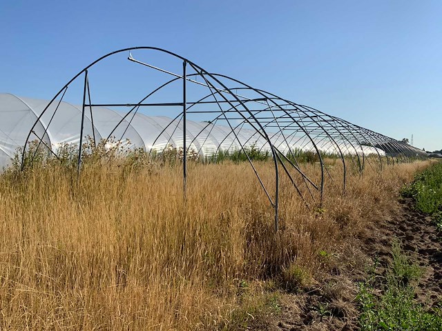 80m1 modulaire kweektent frame - afbeelding 15 van  15