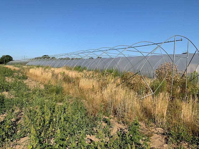 80m1 modulaire kweektent frame - afbeelding 11 van  15