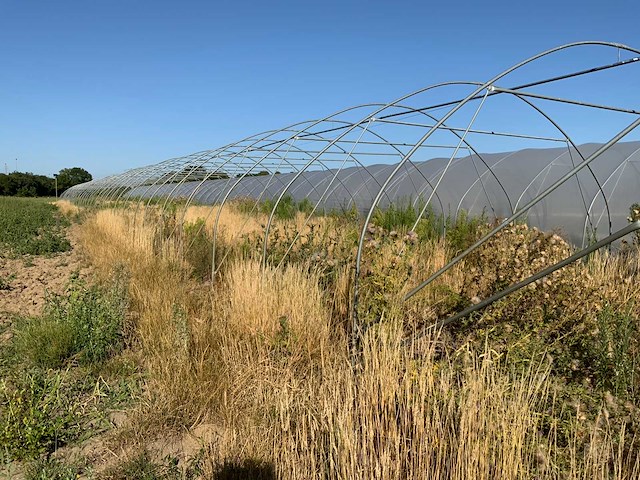 80m1 modulaire kweektent frame - afbeelding 13 van  15