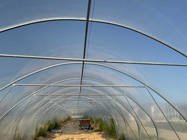80m1 modulaire kweektent - afbeelding 2 van  15