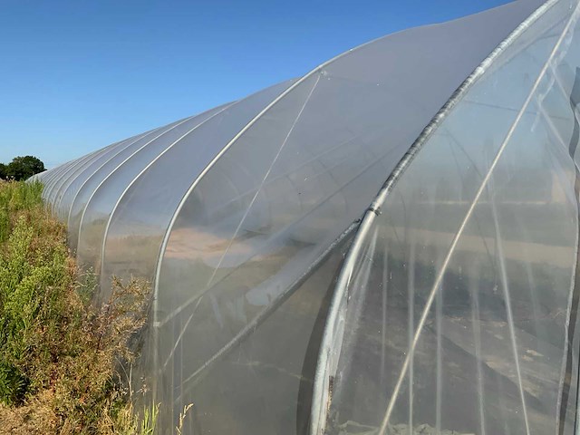 80m1 modulaire kweektent - afbeelding 3 van  15