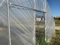 80m1 modulaire kweektent - afbeelding 4 van  15