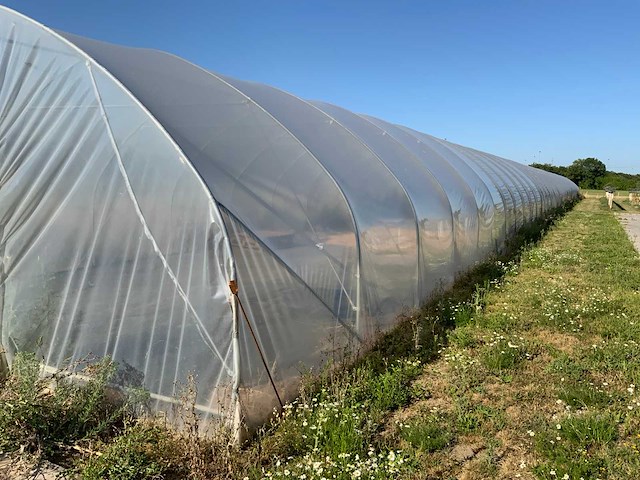 80m1 modulaire kweektent - afbeelding 6 van  15