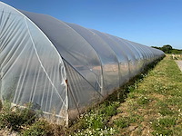 80m1 modulaire kweektent - afbeelding 6 van  15
