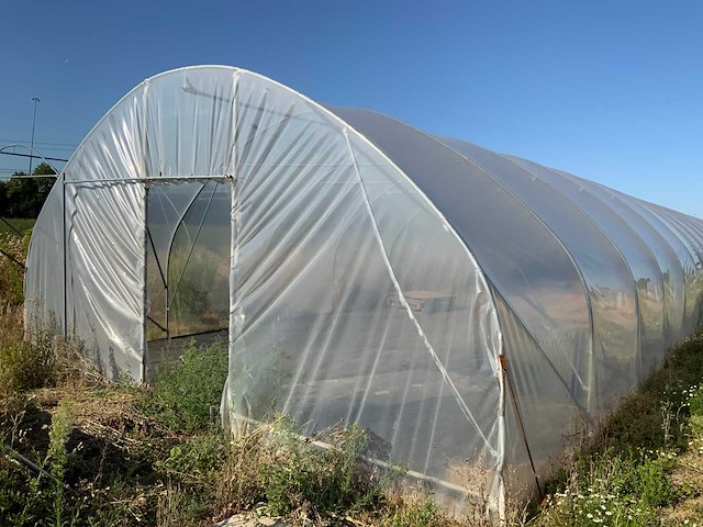80m1 modulaire kweektent - afbeelding 10 van  15