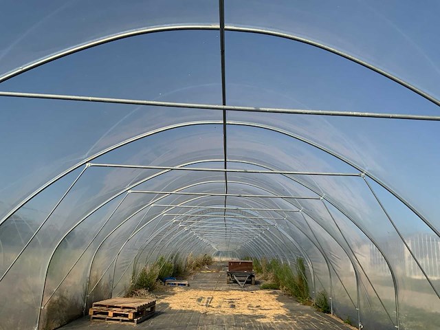 80m1 modulaire kweektent - afbeelding 12 van  15