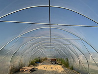 80m1 modulaire kweektent - afbeelding 12 van  15