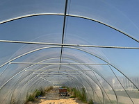 80m1 modulaire kweektent - afbeelding 2 van  15
