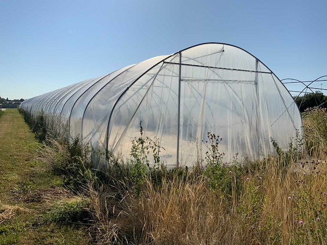 80m1 modulaire kweektent - afbeelding 7 van  15